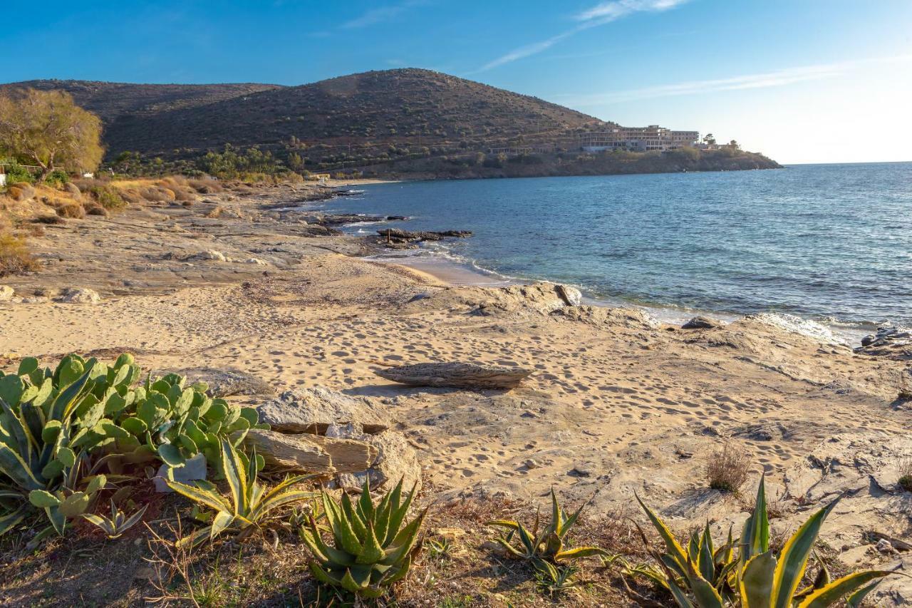 Karystos Villas المظهر الخارجي الصورة